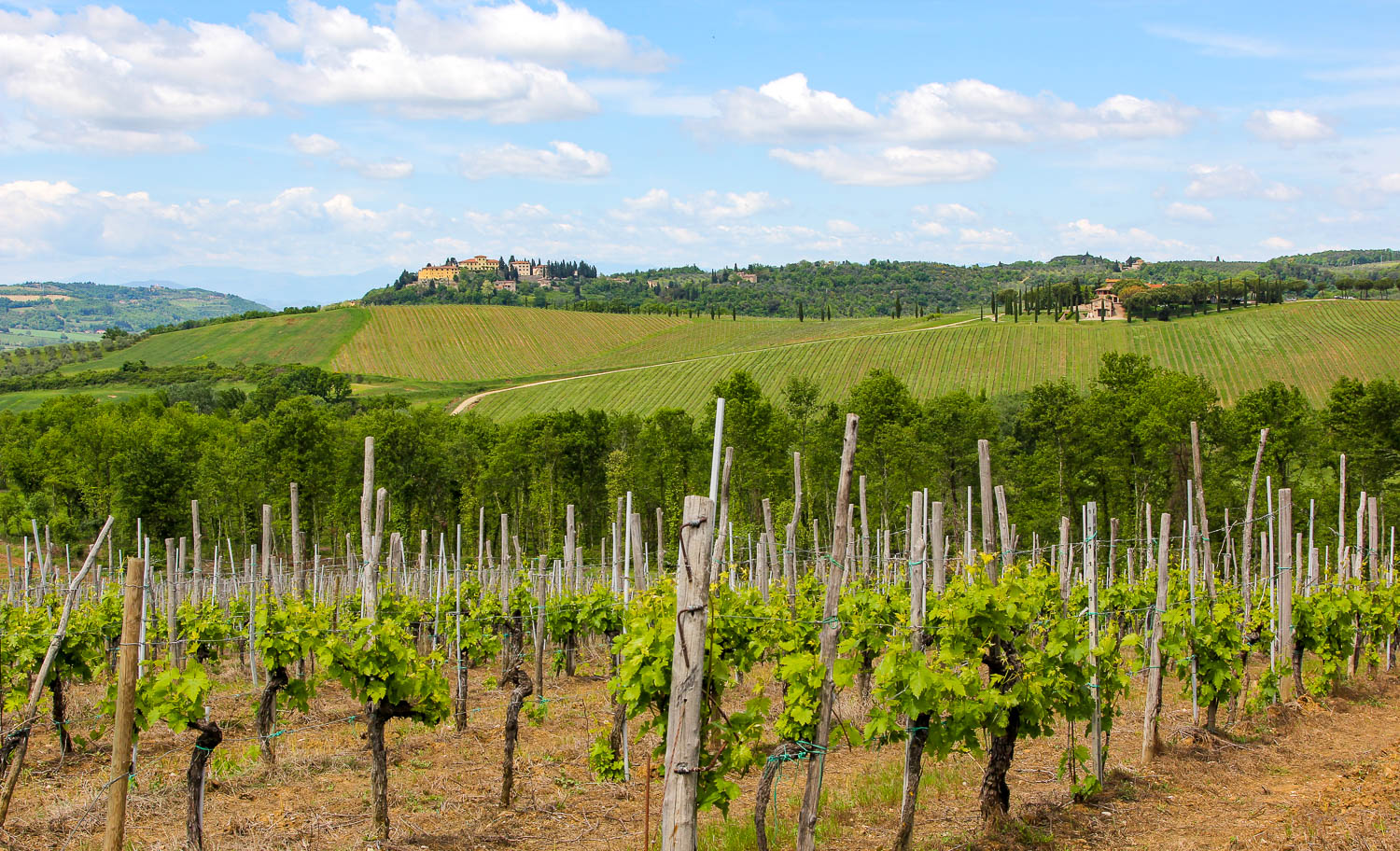Chianti