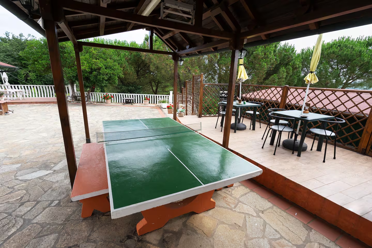 Table de ping-pong