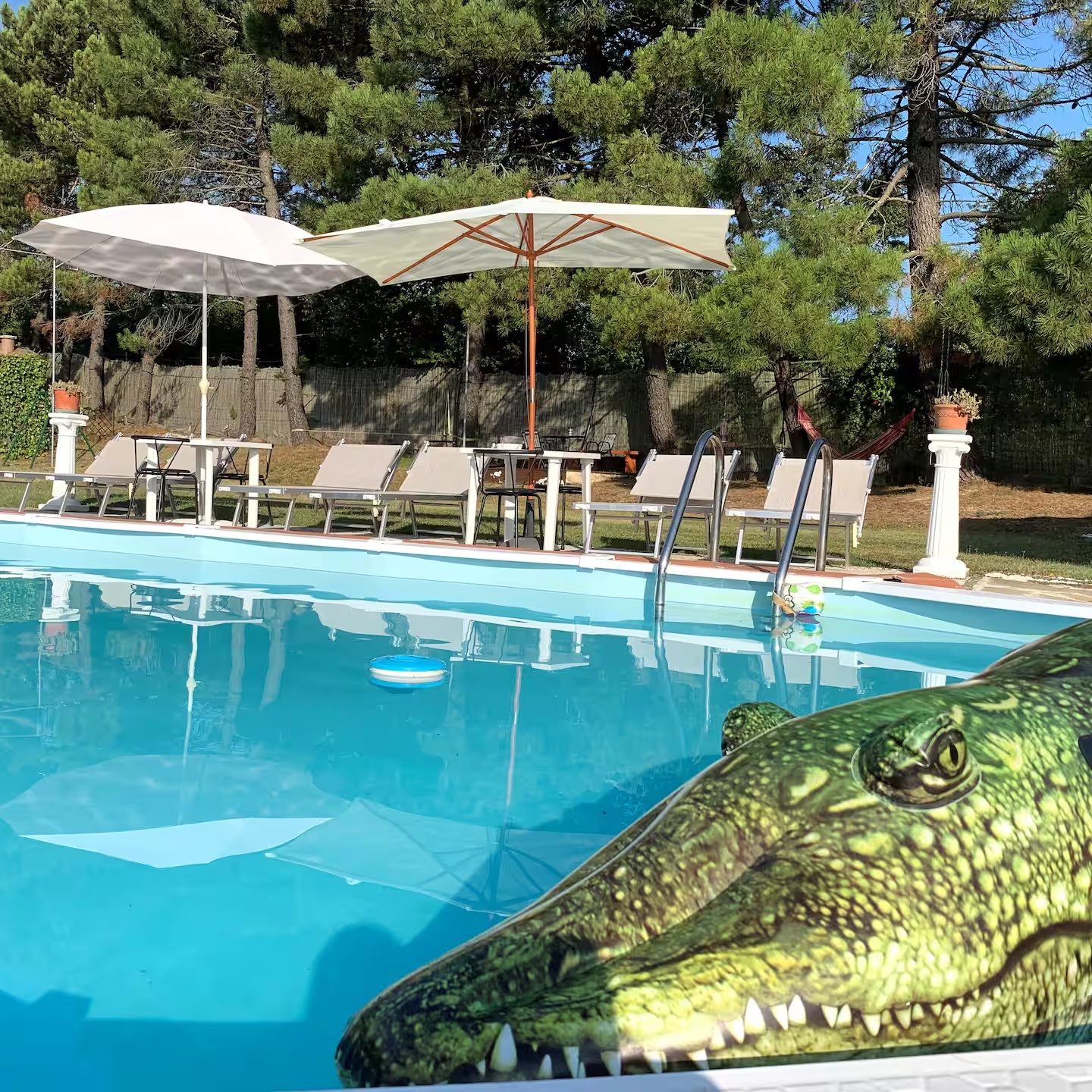Piscine